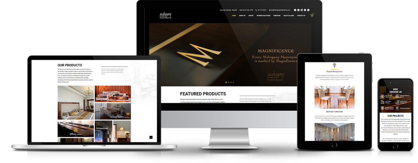 website3.e9952e3f00584a4b7717 (1)